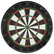 Bristle Dartboard with 6 Darts