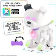 Toy robot MintID Dog-E 1691W